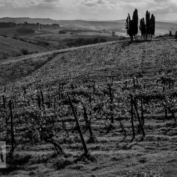 Wedding in Tuscany