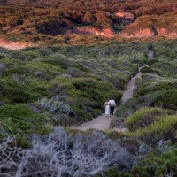 Mariage à Porquerolles